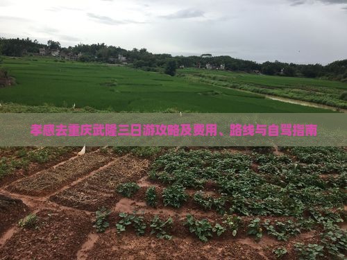 孝感去重庆武隆三日游攻略及费用、路线与自驾指南
