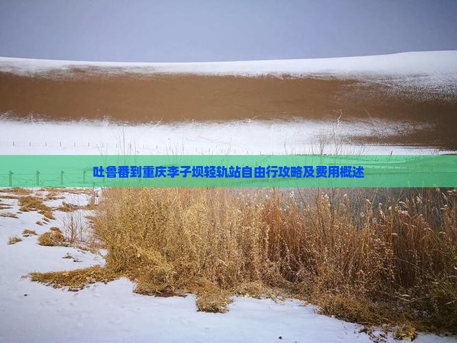 吐鲁番到重庆李子坝轻轨站自由行攻略及费用概述
