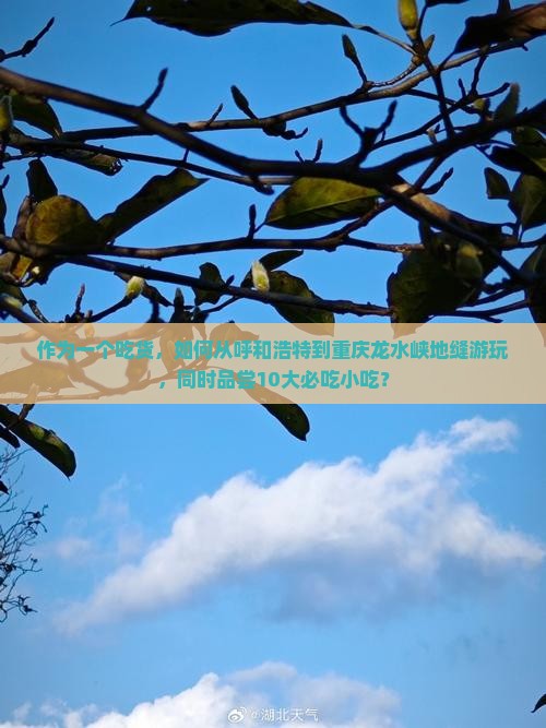 作为一个吃货，如何从呼和浩特到重庆龙水峡地缝游玩，同时品尝10大必吃小吃？