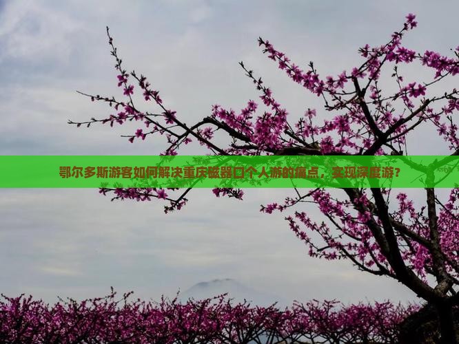 鄂尔多斯游客如何解决重庆磁器口个人游的痛点，实现深度游？