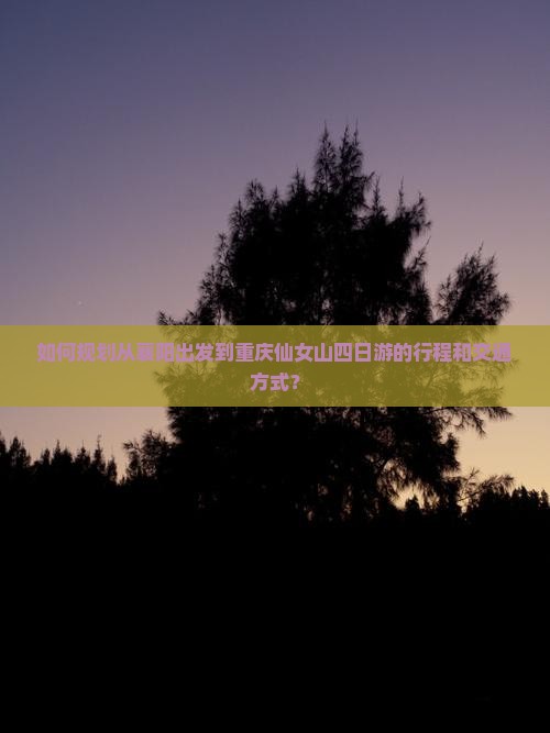 如何规划从襄阳出发到重庆仙女山四日游的行程和交通方式？
