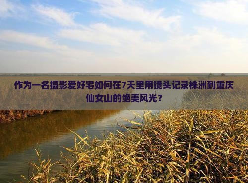 作为一名摄影爱好宅如何在7天里用镜头记录株洲到重庆仙女山的绝美风光？