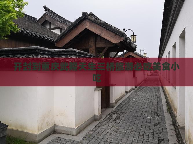 开封到重庆武隆天生三桥旅游必吃美食小吃