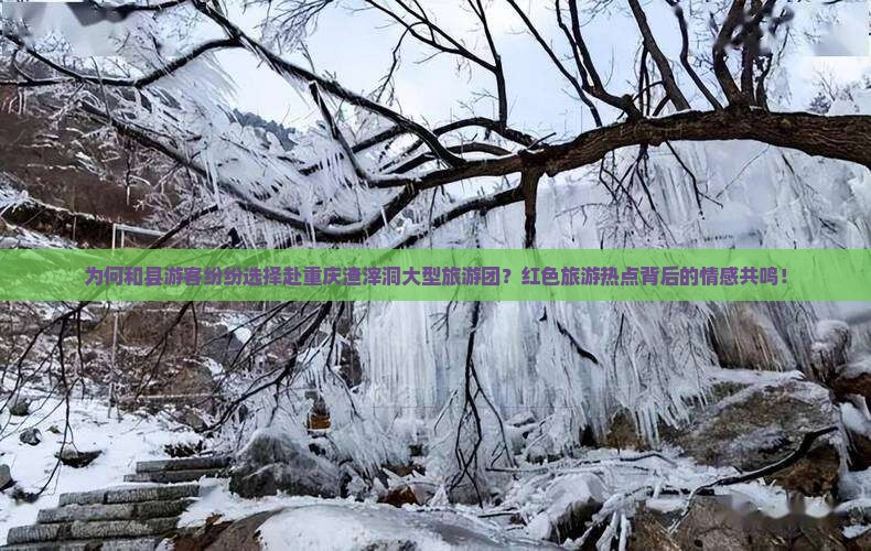 为何和县游客纷纷选择赴重庆渣滓洞大型旅游团？红色旅游热点背后的情感共鸣！