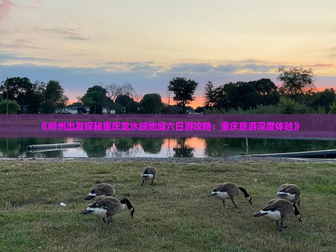 《柳州出发探秘重庆龙水峡地缝六日游攻略：重庆旅游深度体验》