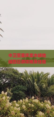 中卫至重庆龙水峡地缝四日游攻略及住宿餐饮建议？