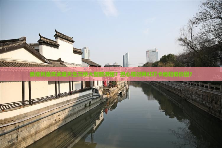 娄底到重庆武隆天生三桥大型旅游团？担心错过网红打卡地和低价团？