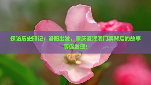 探访历史印记：洛阳出发，重庆渣滓洞门票背后的故事等你发现！