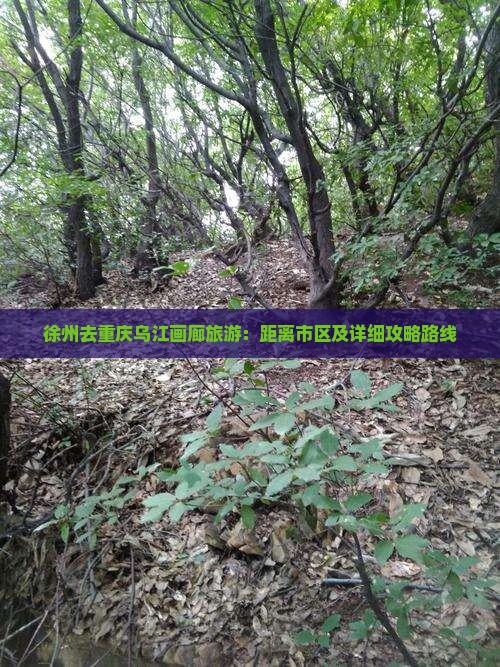 徐州去重庆乌江画廊旅游：距离市区及详细攻略路线