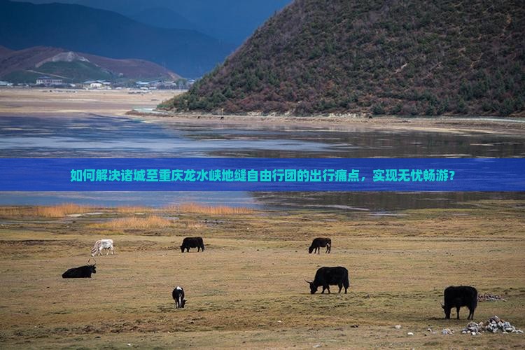 如何解决诸城至重庆龙水峡地缝自由行团的出行痛点，实现无忧畅游？