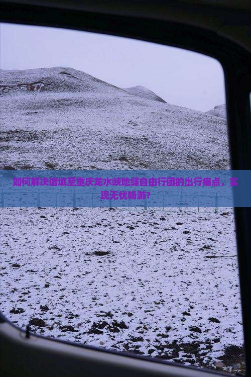 如何解决诸城至重庆龙水峡地缝自由行团的出行痛点，实现无忧畅游？