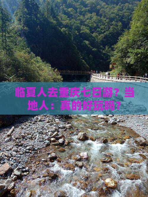 临夏人去重庆七日游？当地人：真的好玩吗？