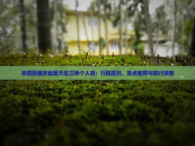 阜阳到重庆武隆天生三桥个人游