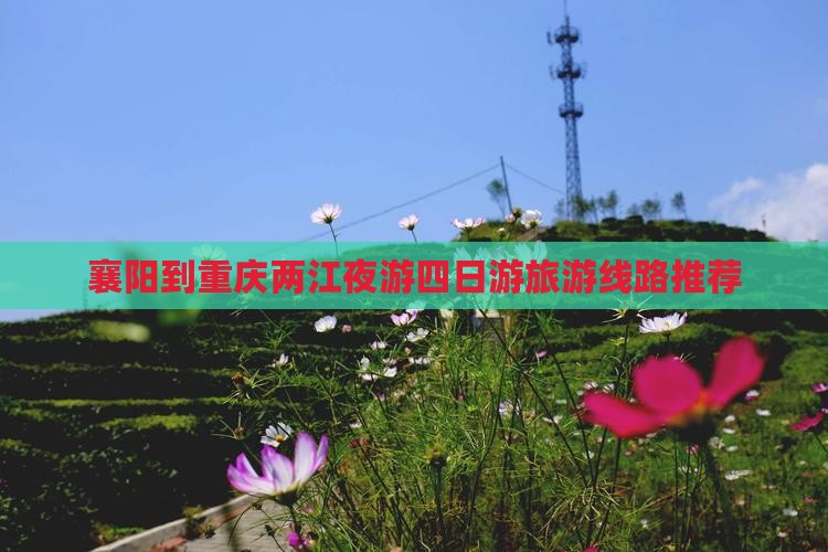 襄樊到重庆两江夜游四日游