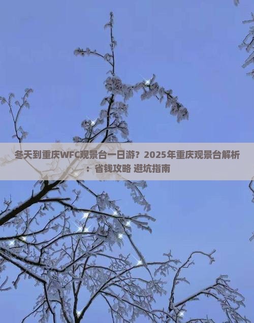 冬天到重庆wfc观景台一日