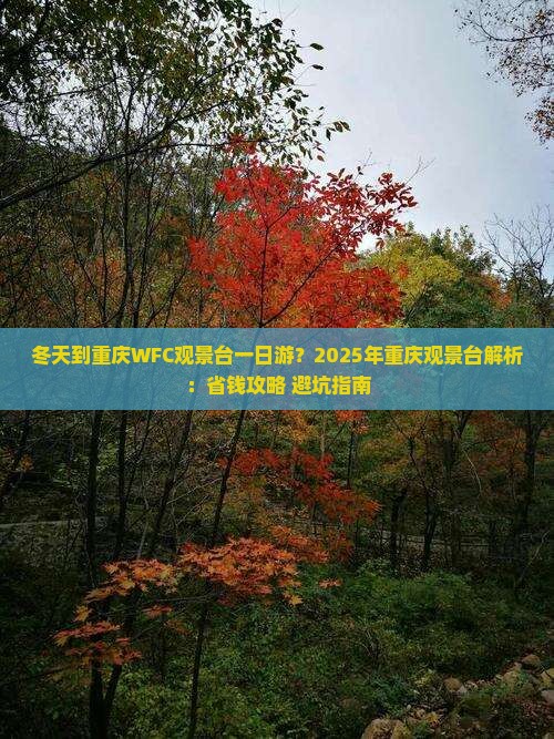 冬天到重庆wfc观景台一日