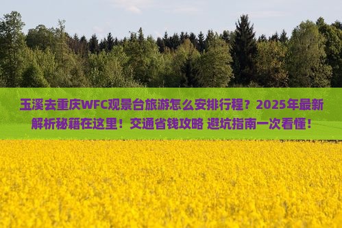 玉溪去重庆wfc观景台旅行社 玉溪去重庆wfc观景台旅行社