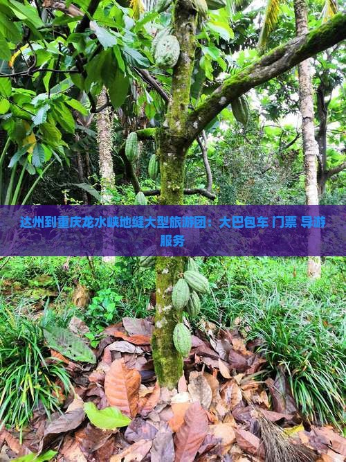 达州到重庆龙水峡地缝大型旅游团