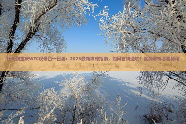 抚州到重庆wfc观景台一日