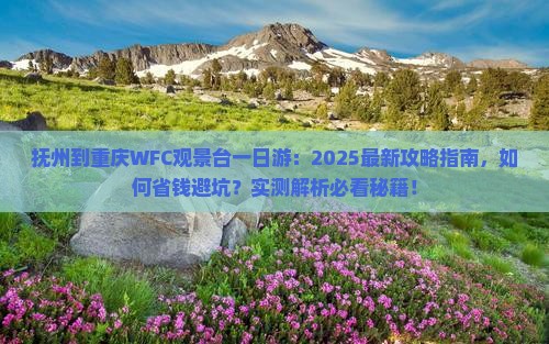 抚州到重庆wfc观景台一日