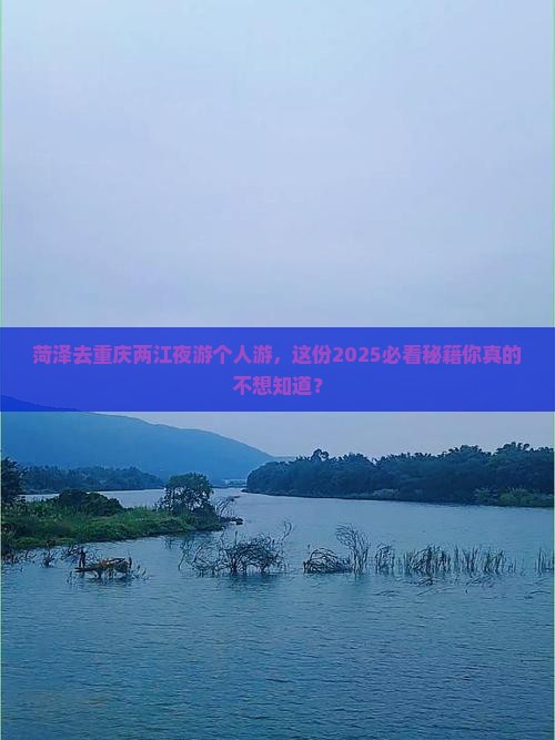 菏泽去重庆两江夜游个人游