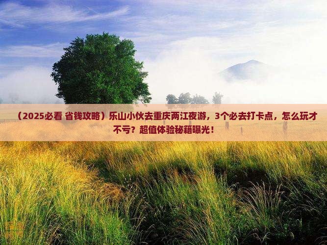乐山去重庆两江夜游个人游