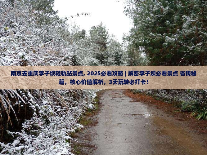 南京去重庆李子坝轻轨站景点