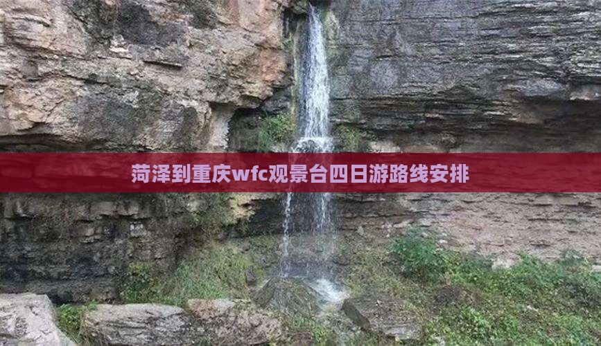 菏泽到重庆wfc观景台四日游