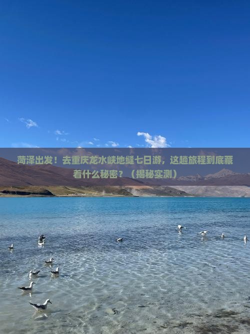 菏泽去重庆龙水峡地缝七日游