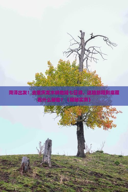 菏泽去重庆龙水峡地缝七日游