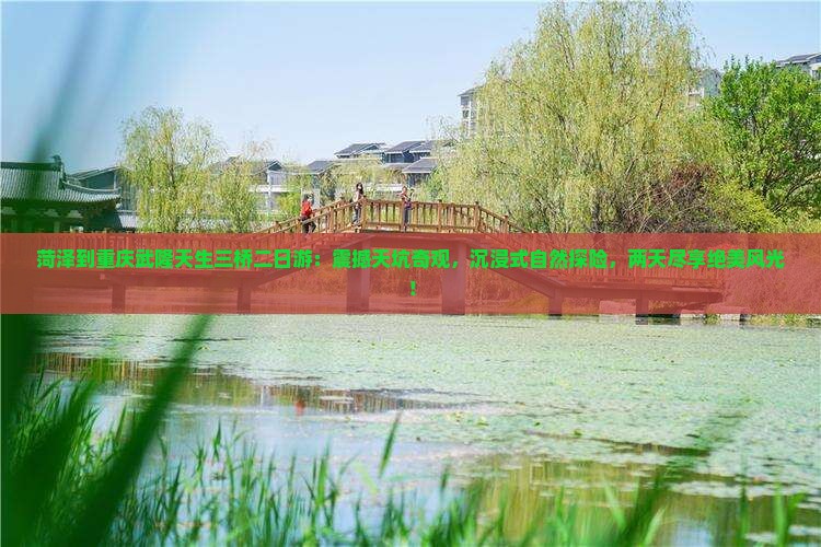 菏泽到重庆武隆天生三桥二日游