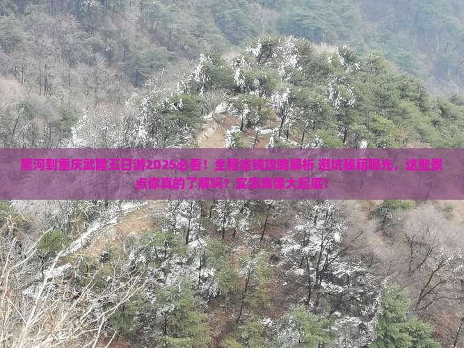 黑河到重庆武隆五日游