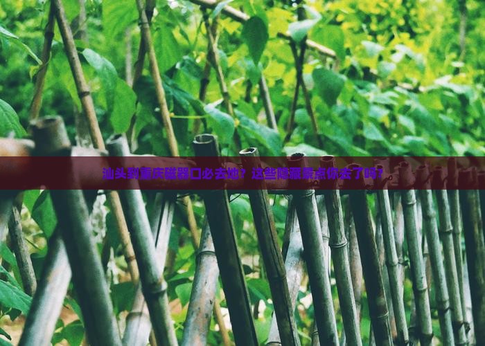 汕头到重庆磁器口必去地