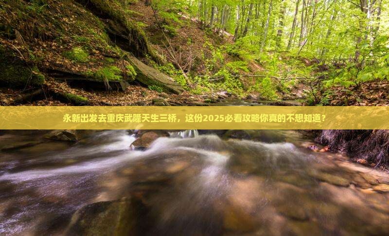 永新去重庆武隆天生三桥三日游