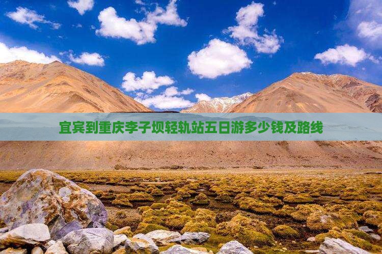 宜宾到重庆李子坝轻轨站五日游