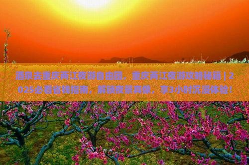 酒泉去重庆两江夜游自由团