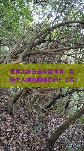 宜宾去重庆渣滓洞个人游
