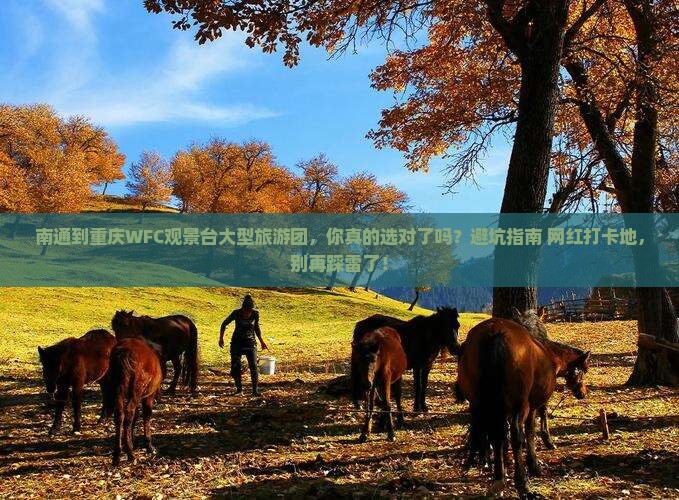 南通到重庆wfc观景台大型旅游团