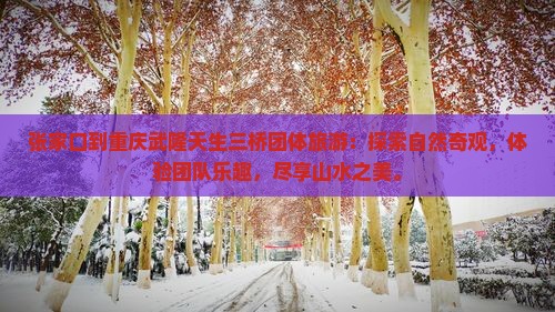 张家口到重庆武隆天生三桥团体旅游