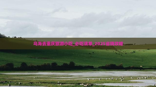 乌海去重庆旅游小吃