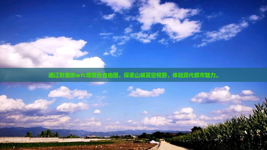通辽到重庆wfc观景台自由团
