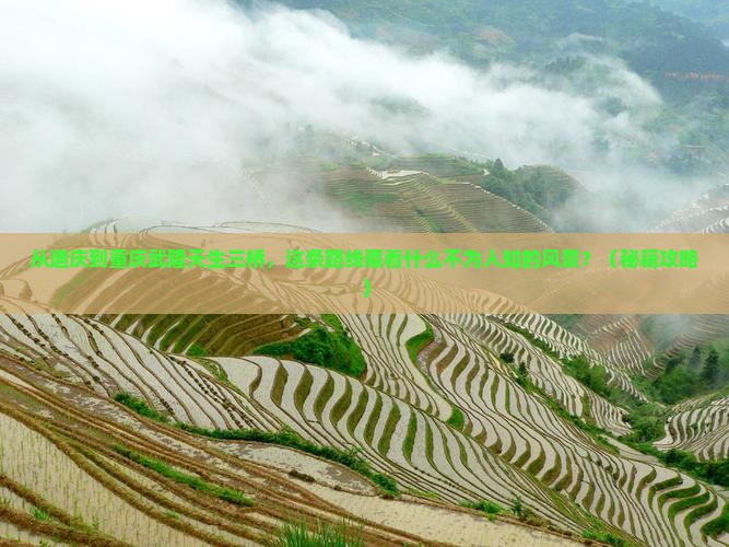 迪庆到重庆武隆天生三桥必去地