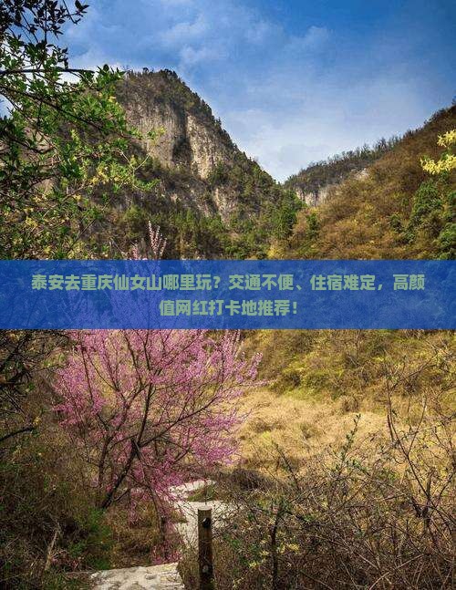 泰安去重庆仙女山哪里玩