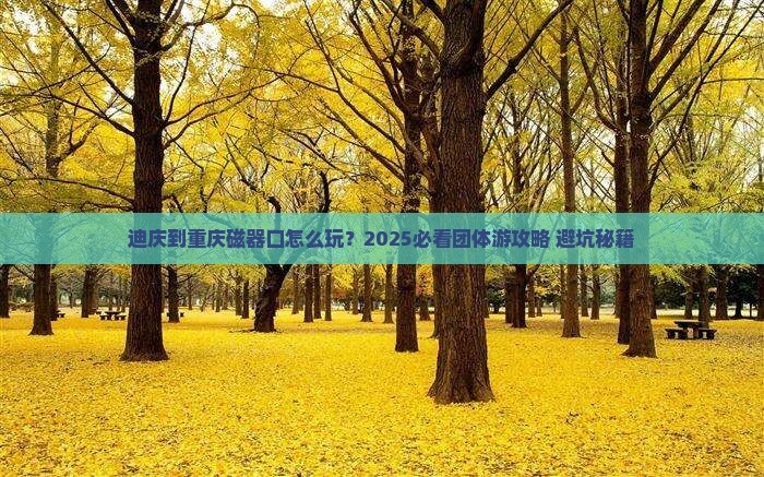 迪庆到重庆磁器口团体旅游