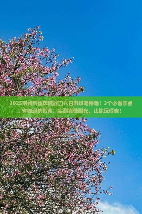 荆州到重庆磁器口六日游