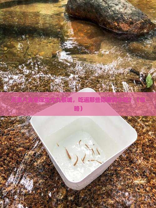天津去重庆蚩尤九黎城旅游小吃