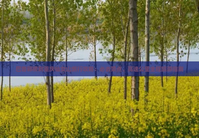 巴音郭楞到重庆仙女山必去地