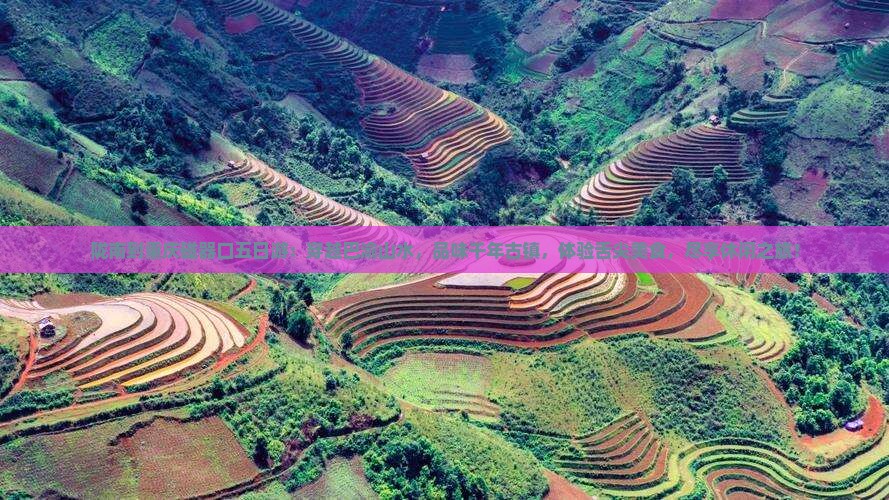 陇南到重庆磁器口五日游