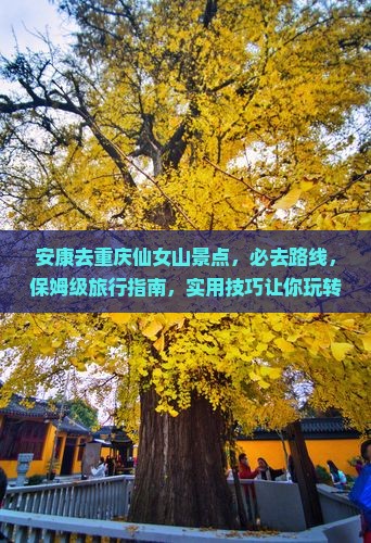 安康去重庆仙女山景点