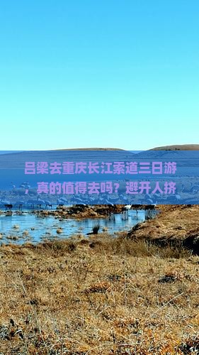 吕梁去重庆长江索道三日游